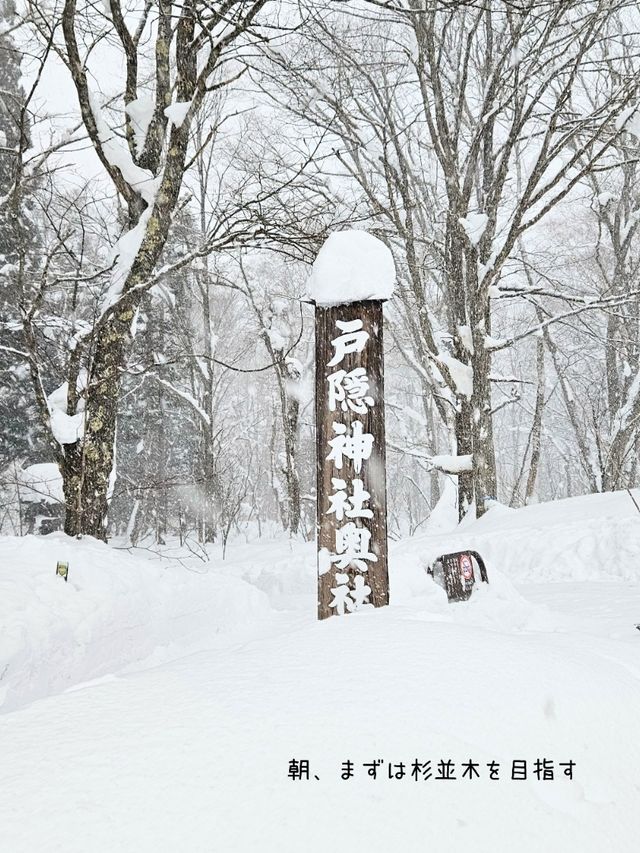 【長野／長野市】雪が降る戸隠神社の杉並木と中社⁡