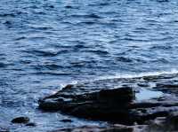 隱藏於北海岸的秘境美景：跳石海岸參訪體驗