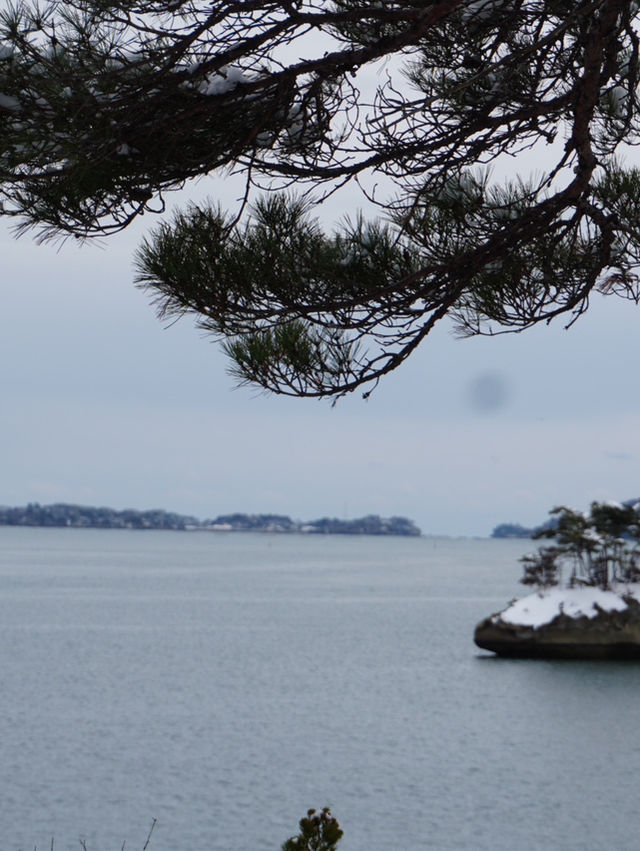 【宮城×冬の旅】日本三景のひとつ「松島」260余りの島々
