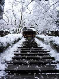 【宮城×冬の旅】