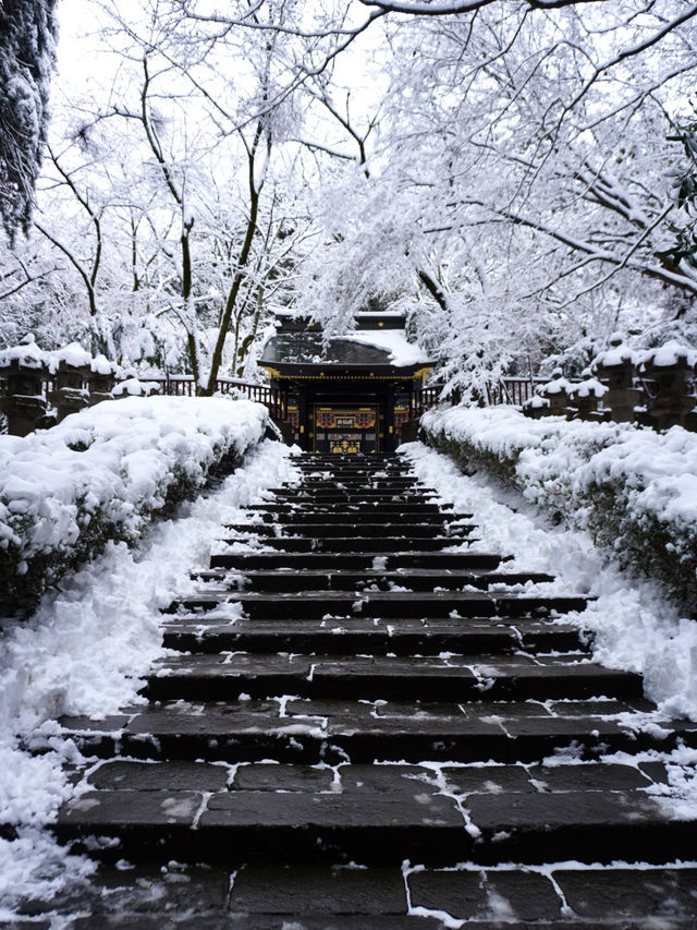 【宮城×冬の旅】