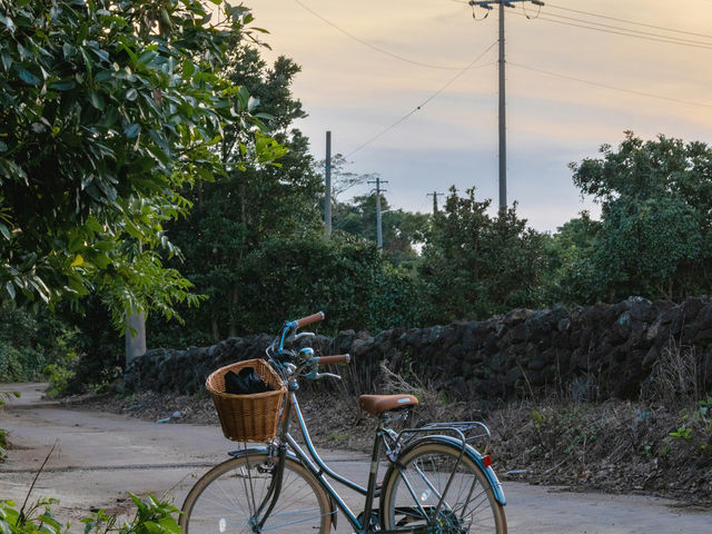 Jeju Island: South Korea’s Natural Paradise