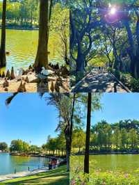 🌊 珠海海濱公園：悠閒漫步的城市綠洲 🌿