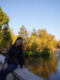 A Perfect Day at Cuihu Park (翠湖) – My Favorite Kunming Itinerary