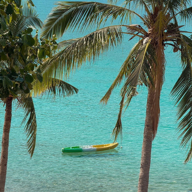 เกาะสีชัง ช่วงนี้น้ำใส ทะเลสวยมากๆ 🌊🏝️🩵