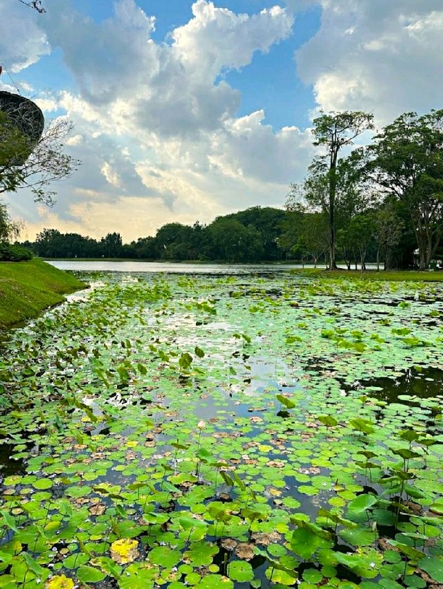 HIDDEN GEM IN CYBERJAYA.