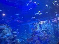 鳥羽水族館@三重県・鳥羽🐠