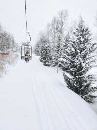 2 Days in Sapporo: A Winter Wonderland Adventure