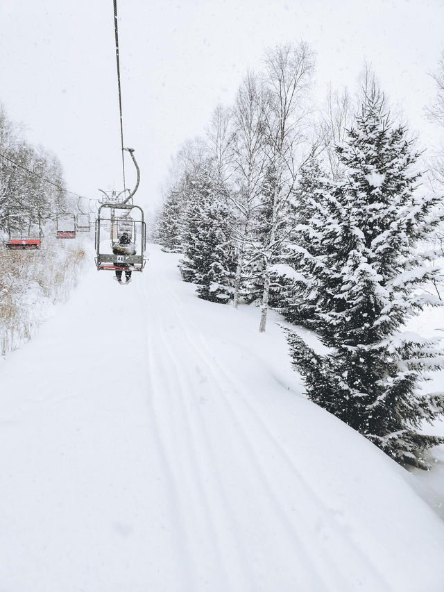 2 Days in Sapporo: A Winter Wonderland Adventure