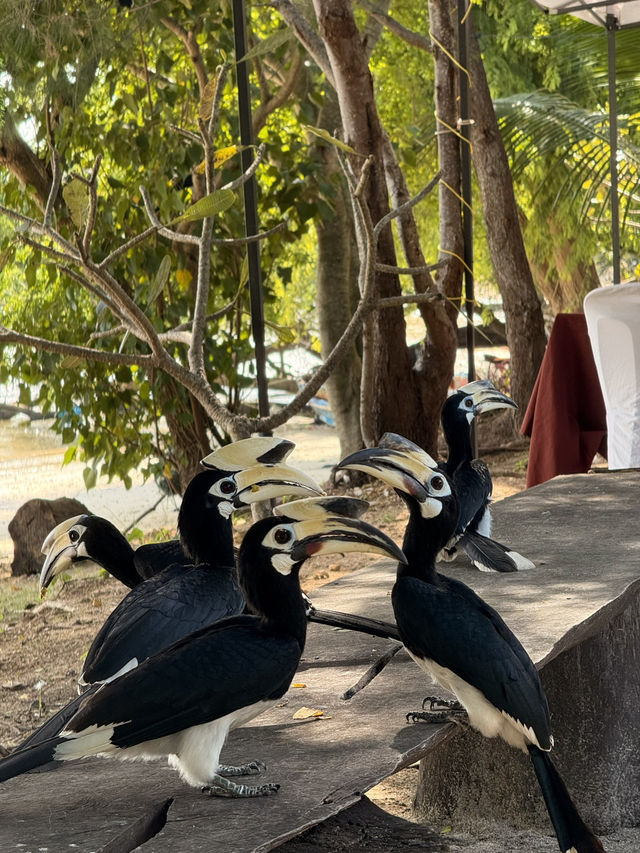 อุทยานแห่งชาติหมู่เกาะอ่างทอง🕊️🦜🏝️