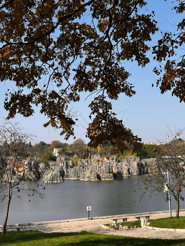The Stone Forest Scenic Area