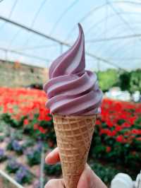 Travel to the Mother of Flowers in Cameron!