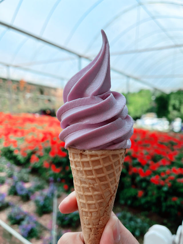 Travel to the Mother of Flowers in Cameron! Travel to the Mother of Flowers in Cameron!