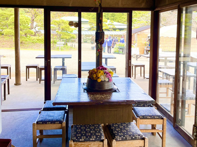 様々な顔がある日本庭園〜三渓園〜@横浜