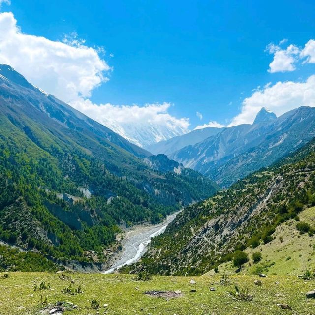 Stunning Khangsar