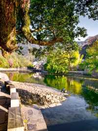 Discover the Heart of Porcelain and Tea: Your Ultimate Travel Guide to Yaoli Ancient Town!