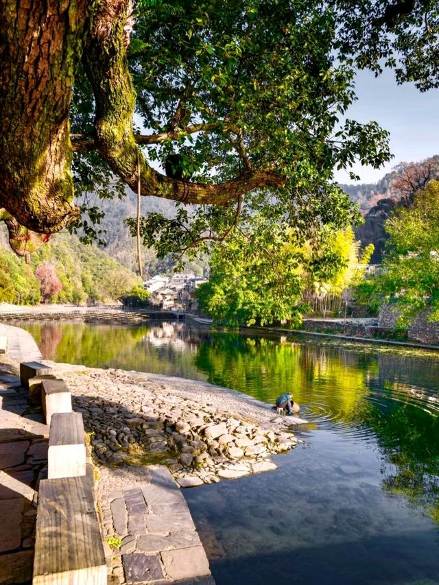 Discover the Heart of Porcelain and Tea: Your Ultimate Travel Guide to Yaoli Ancient Town!