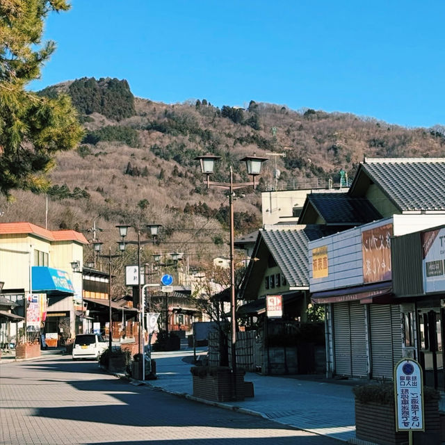  「長瀞駅」🚉 レトロな木造駅舎✨