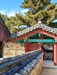 고즈넉한 연못이 어우러진 그림 같은 풍경 🌿🏯
