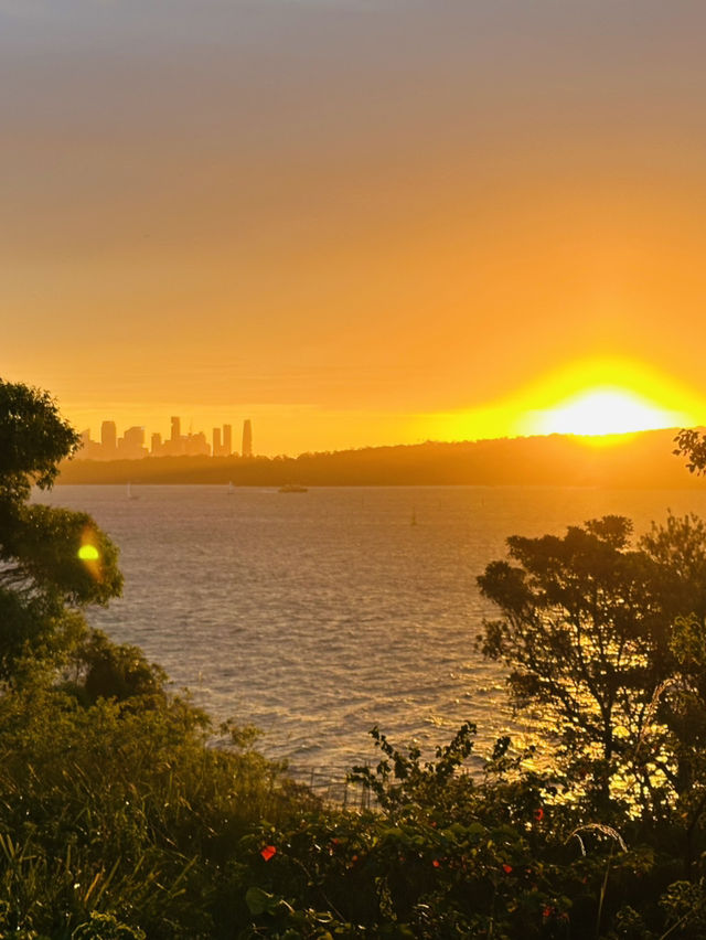 Trip to Sydney
