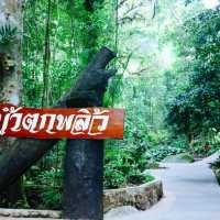 น้ำตกพลิ้ว