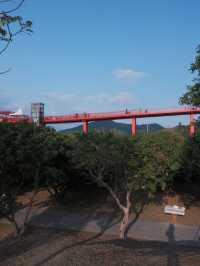 深圳虹橋公園：叢林中紅飄帶 