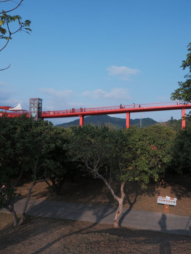 深圳虹橋公園：叢林中紅飄帶 