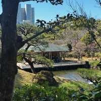 砧公園～尋找和風
