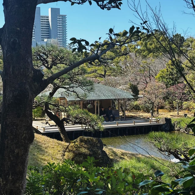 砧公園～尋找和風
