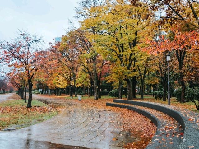 Osaka castle