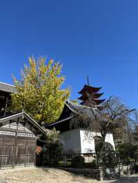日本三景之一：嚴島神社