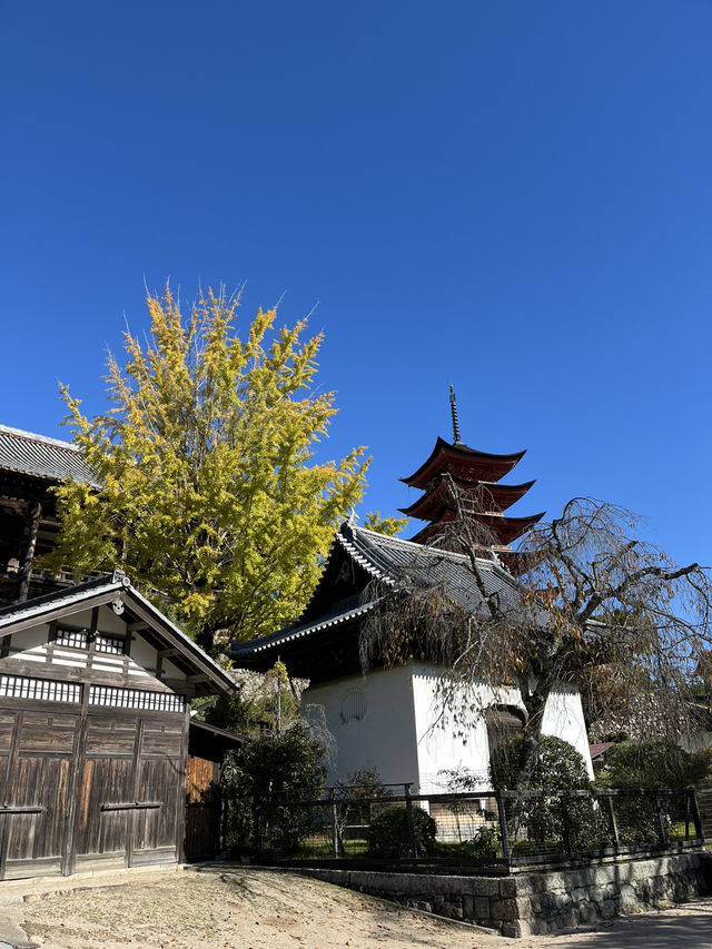 日本三景之一：嚴島神社