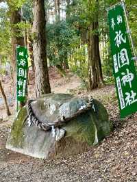 【和歌山県】樹木の神様のもとで木の股くぐり