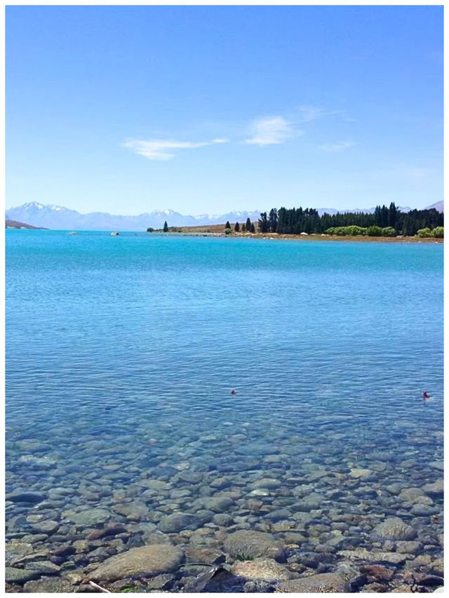 【NZ/テカポ】人生で一度は観たい‼︎ミルキーブルーの絶景＊テカポ湖《Lake Tekapo》