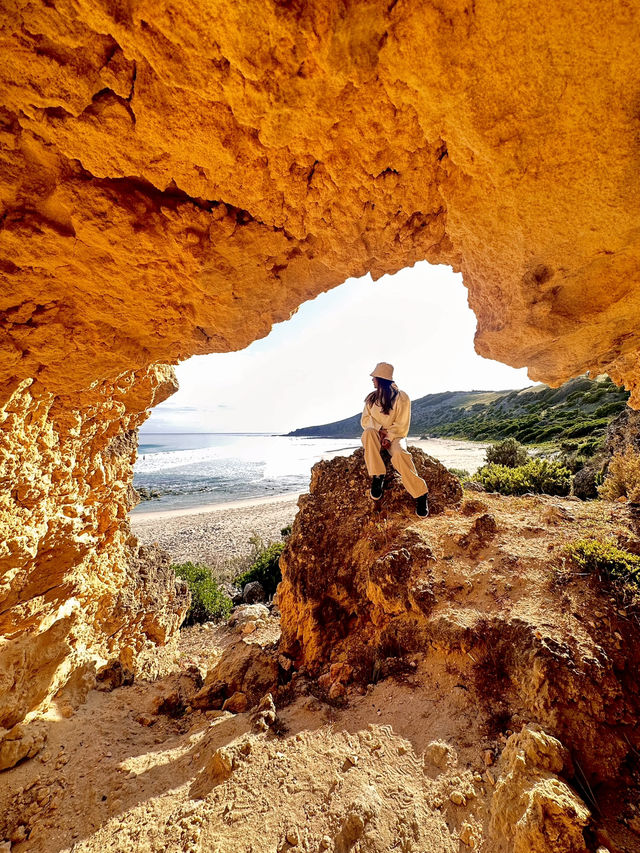 South Australia Road Trip: Sydney to SA🚗🏝️   