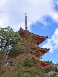  大阪京都：清水寺 | 嵐山 