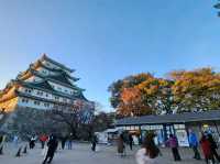 日本美麗古城之一🌸 名古屋城 賞櫻好去處