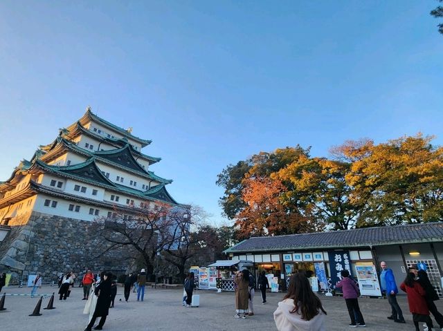 日本美麗古城之一🌸 名古屋城 賞櫻好去處