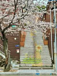 한국 최초 현수식 모노레일이있는 부산벚꽃여행코스🌸