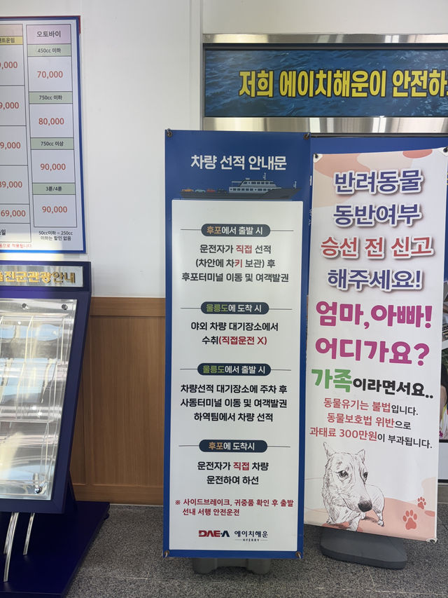 울진 후포항에서 크루즈 타기 전, 설레는 새벽 기다림