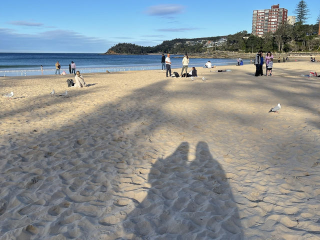 澳洲雪梨_超舒適沙灘海邊「曼利海灘Manly Beach」