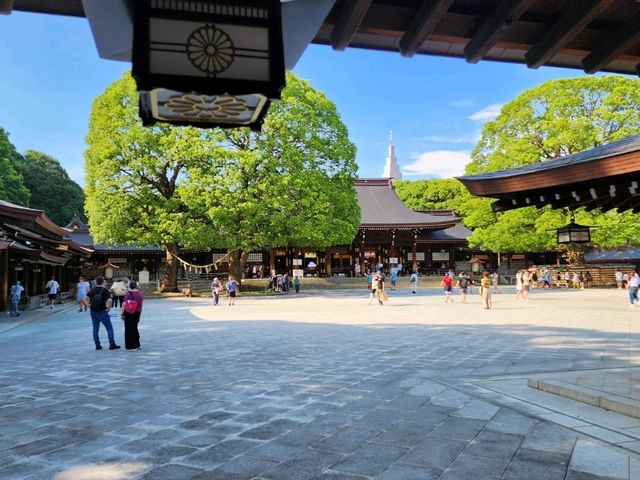 都心で感じる自然の癒し – 森林浴気分で訪れる明治神宮