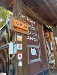 尾道｜到貓之細道小路探險 貓神社、貓咖啡像瀨戶內藝術節般的老街體驗