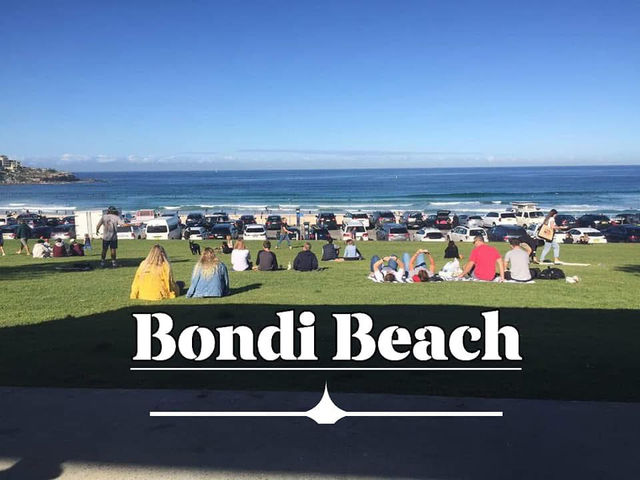 BONDI BEACH SYDNEY AUSTRALIA! 