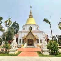 วัดป่าดาราภิรมย์ วัดดังแห่งเมืองเชียงใหม่