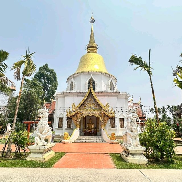 วัดป่าดาราภิรมย์ วัดดังแห่งเมืองเชียงใหม่