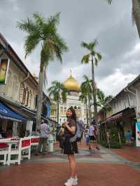 22 Hours in Singapore: Walking Non Stop🇸🇬