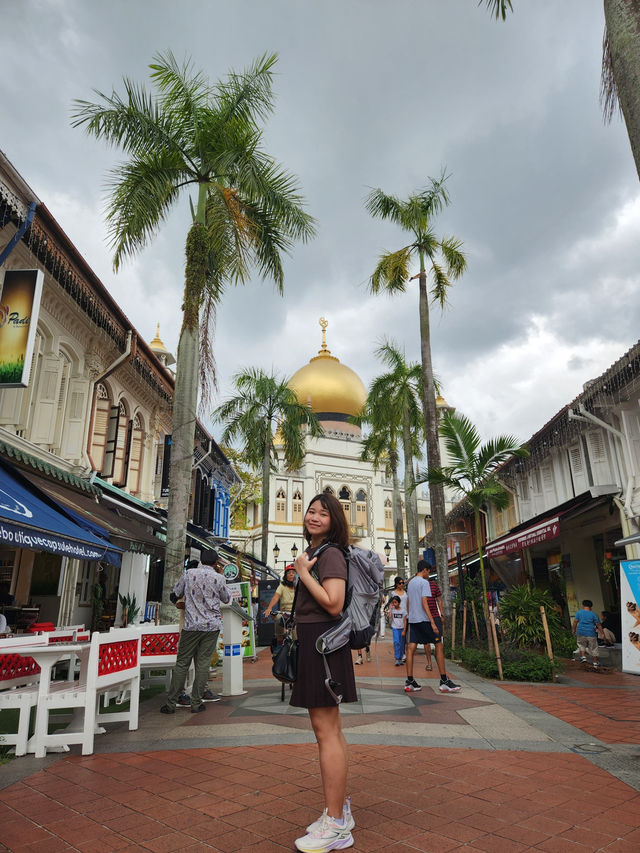 22 Hours in Singapore: Walking Non Stop🇸🇬