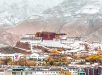 Discover the Magestic Potala Palace in Lhasa, Tibet