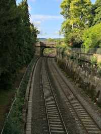 Sydney Gardens